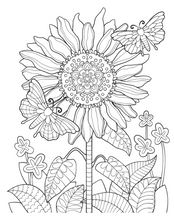Load image into Gallery viewer, Colour Your Own Wall Art Colouring Book: Nature Mandalas - The Sensory Studio