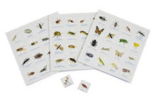 Load image into Gallery viewer, Bug Bingo Game - The Sensory Studio