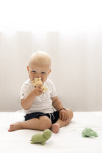 Load image into Gallery viewer, Tikiri My 1st Ocean Buddies: Turtle - The Sensory Studio