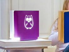 Load image into Gallery viewer, Kids Kitchen Night Light: Owl On Sale was $44.95