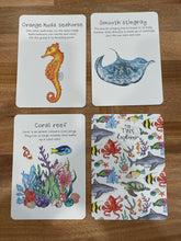 Load image into Gallery viewer, My Tiny Explorer Australian Ocean Creature Flash Cards - The Sensory Studio