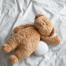 Load image into Gallery viewer, Moonie: Organic Humming Bear 'Cappucino': On Sale was $145