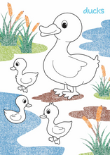 Load image into Gallery viewer, First Creations: My First Colouring Book: Farm Animals