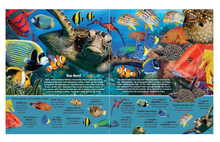 Load image into Gallery viewer, Garry Flemming&#39;s Book &amp; Jigsaw Puzzle - Sea Animals