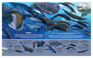 Garry Flemming's Book & Jigsaw Puzzle - Sea Animals
