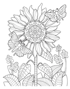 Colour Your Own Wall Art Colouring Book: Nature Mandalas