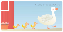 Load image into Gallery viewer, Farm Animals: My First Touch &amp; Feel Book