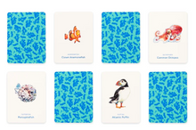 Load image into Gallery viewer, Under the Sea - An Ocean Memory Game - The Sensory Studio