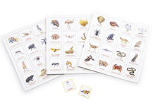 Load image into Gallery viewer, Australia&#39;s Deadly Animals Bingo Board Game