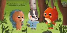 Load image into Gallery viewer, Sassi:  Emotions  Board Book - Feeling Angry