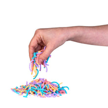 Load image into Gallery viewer, Smoosho's Squirmy Worms: Multicoloured