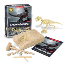 Load image into Gallery viewer, Dig and Discover Tyrannosaurus Dig Kit