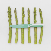 Load image into Gallery viewer, KiddiKutter Child Safety Knife: Sea Green