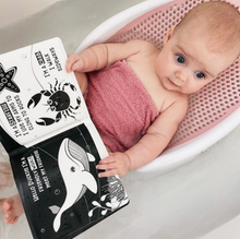 Load image into Gallery viewer, Young Wanderer Duckie Goes on an Adventure: Black &amp; White Bath Book