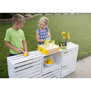 Fat Brain Toys Pretendables: Lemonade Set