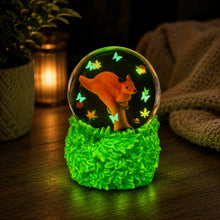 Load image into Gallery viewer, Smooshos Glow in the Dark Snow Globe: Kangaroo