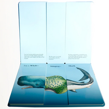 Load image into Gallery viewer, Flip a Fin: A Book by Sara Ball