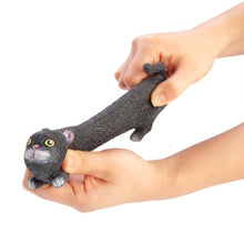 Load image into Gallery viewer, Pullie Pal Stretchy Cat Fidget
