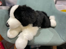 Load image into Gallery viewer, Molly the Border Collie: Weighted Toy 2.6kg