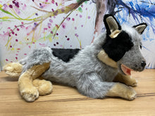 Load image into Gallery viewer, Bella the Blue Cattle Dog Weighted Toy 1.5kg
