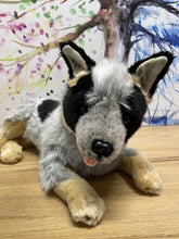 Load image into Gallery viewer, Bella the Blue Cattle Dog Weighted Toy 1.5kg