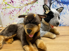 Load image into Gallery viewer, Bella the Blue Cattle Dog Pup: Weighted Toy 1.7kg