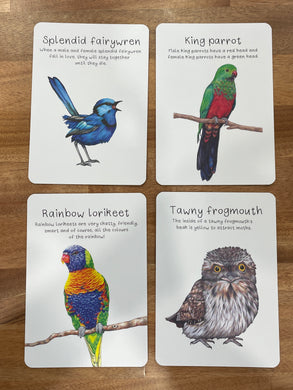 My Tiny Explorer Australian Native Bird Flash Cards
