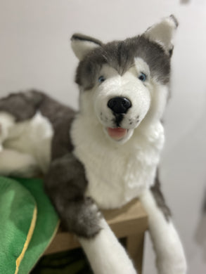 Rocky the Wolf - Weighted Toy 3.6kg