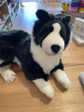 Load image into Gallery viewer, Shadow the Little Black Border Collie Weighted Toy - 1.1kg