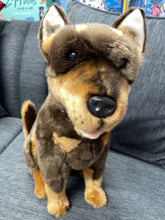Load image into Gallery viewer, Connor the Kelpie 1.8kg