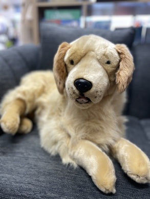 Riley the Golden Retriever - Weighted Dog: 3.6kg
