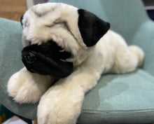 Load image into Gallery viewer, Pepper the Pug Weighted Dog 2.5kg: Weighted Toy