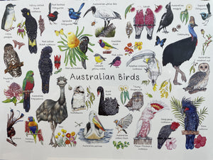 My Tiny Explorer - Wooden Jigsaw Puzzle: Australian Birds