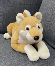 Load image into Gallery viewer, Davey the Dingo - Weighted Toy: 1.6kg