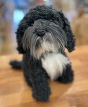 Load image into Gallery viewer, Scruffy the Black Oodle: Weighted Toy - 1kg