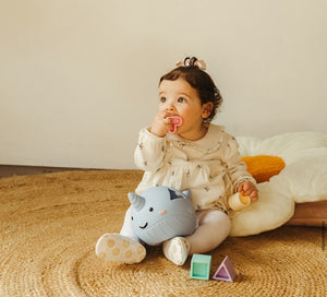 Jellystone Designs Narwhal Shape Sorter: Pastel