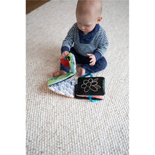 Load image into Gallery viewer, Lamaze Colourful Caterpillar Cloth Book