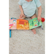 Load image into Gallery viewer, Lamaze Colourful Caterpillar Cloth Book