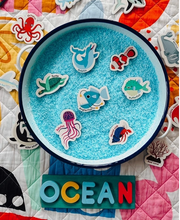 Load image into Gallery viewer, Curious Columbus: A-Z Magnetic Sea Creatures &amp; Letters