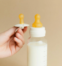 Load image into Gallery viewer, BIBS Glass Baby Bottle: 240ml Latex - Ivory