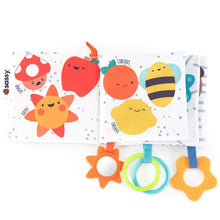 Load image into Gallery viewer, Sassy Baby: Rainbow Of Emotions Fabric Book