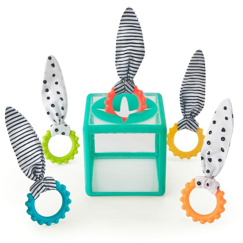 Sassy Baby: Rainbow Ring Drop Sensory Box