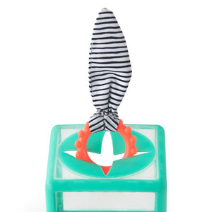 Sassy Baby: Rainbow Ring Drop Sensory Box
