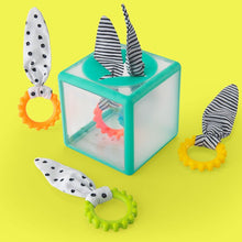 Load image into Gallery viewer, Sassy Baby: Rainbow Ring Drop Sensory Box