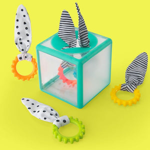 Sassy Baby: Rainbow Ring Drop Sensory Box