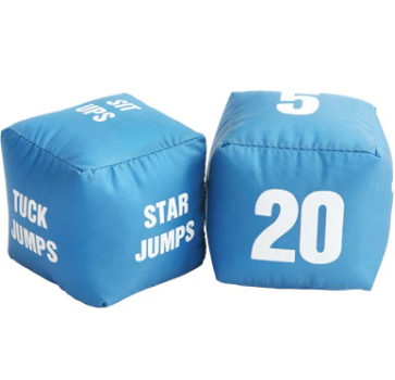 NYDA Exercise Dice Pair - The Sensory Studio