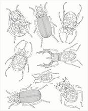 Load image into Gallery viewer, Colour Your Own Wall Art Colouring Book: Bugs
