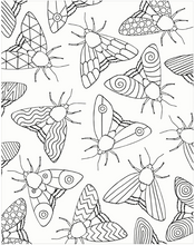 Load image into Gallery viewer, Colour Your Own Wall Art Colouring Book: Bugs
