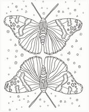 Load image into Gallery viewer, Colour Your Own Wall Art Colouring Book: Bugs