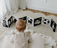Load image into Gallery viewer, Young Wonderer Black &amp; White Book: Welcome to the World